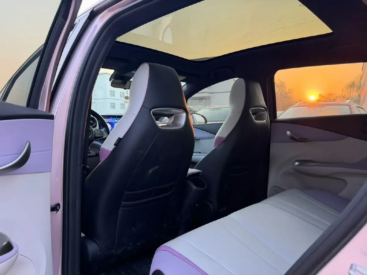 2021 BYD Yuan Pro BEV 50.1KWH,autocango,china used car exporter,china ev exporter,chinese used car exporter,chinese used ev exporter