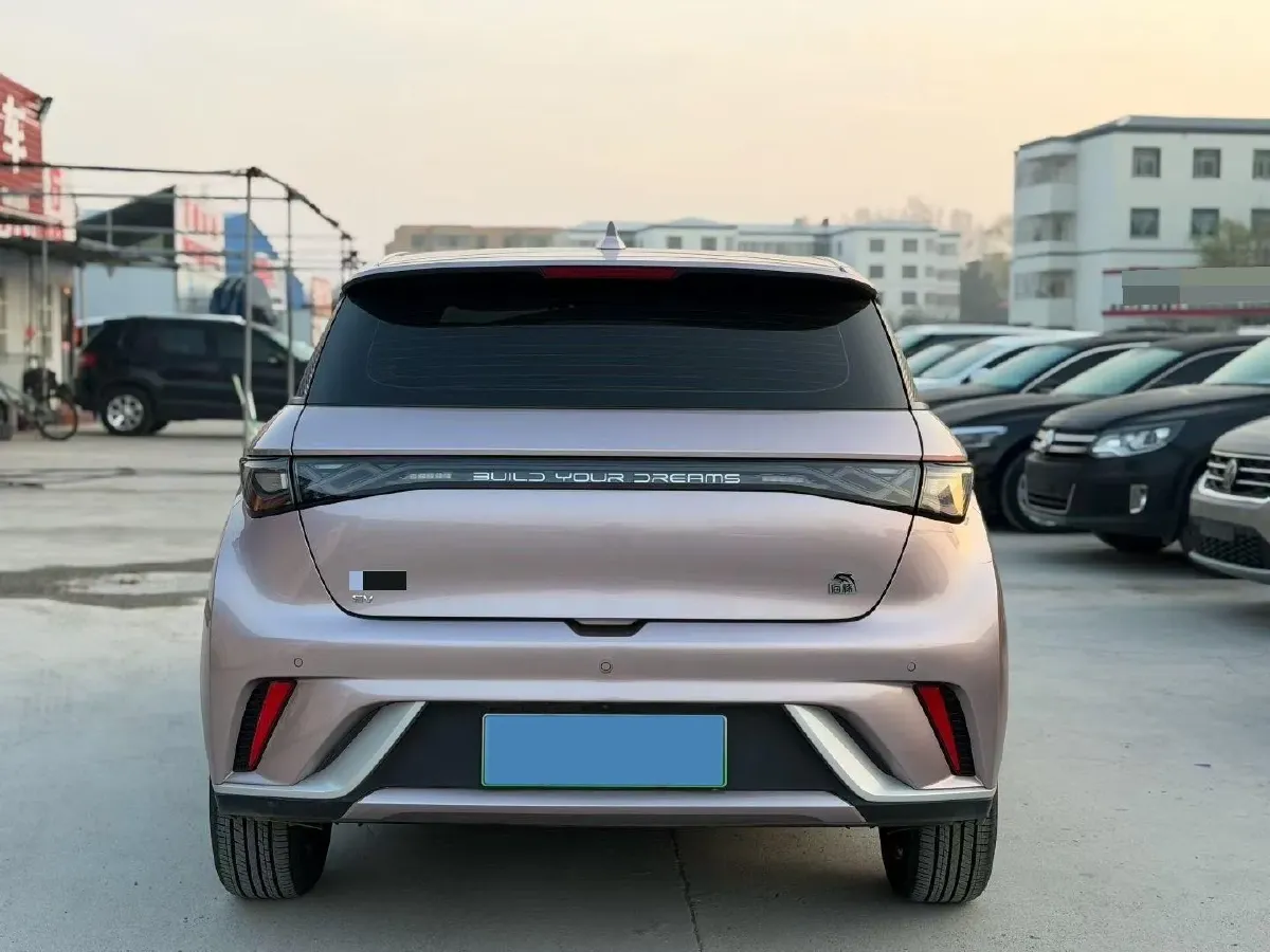 2021 BYD Yuan Pro BEV 50.1KWH,autocango,china used car exporter,china ev exporter,chinese used car exporter,chinese used ev exporter