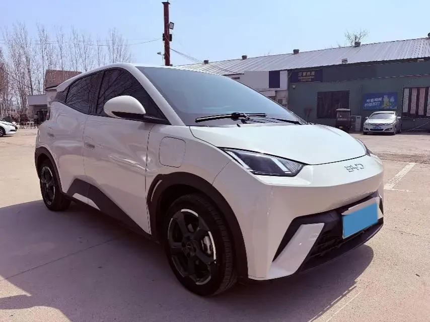 2023 BYD Seagull BEV 30.08KWH,autocango,china used car exporter,china ev exporter,chinese used car exporter,chinese used ev exporter