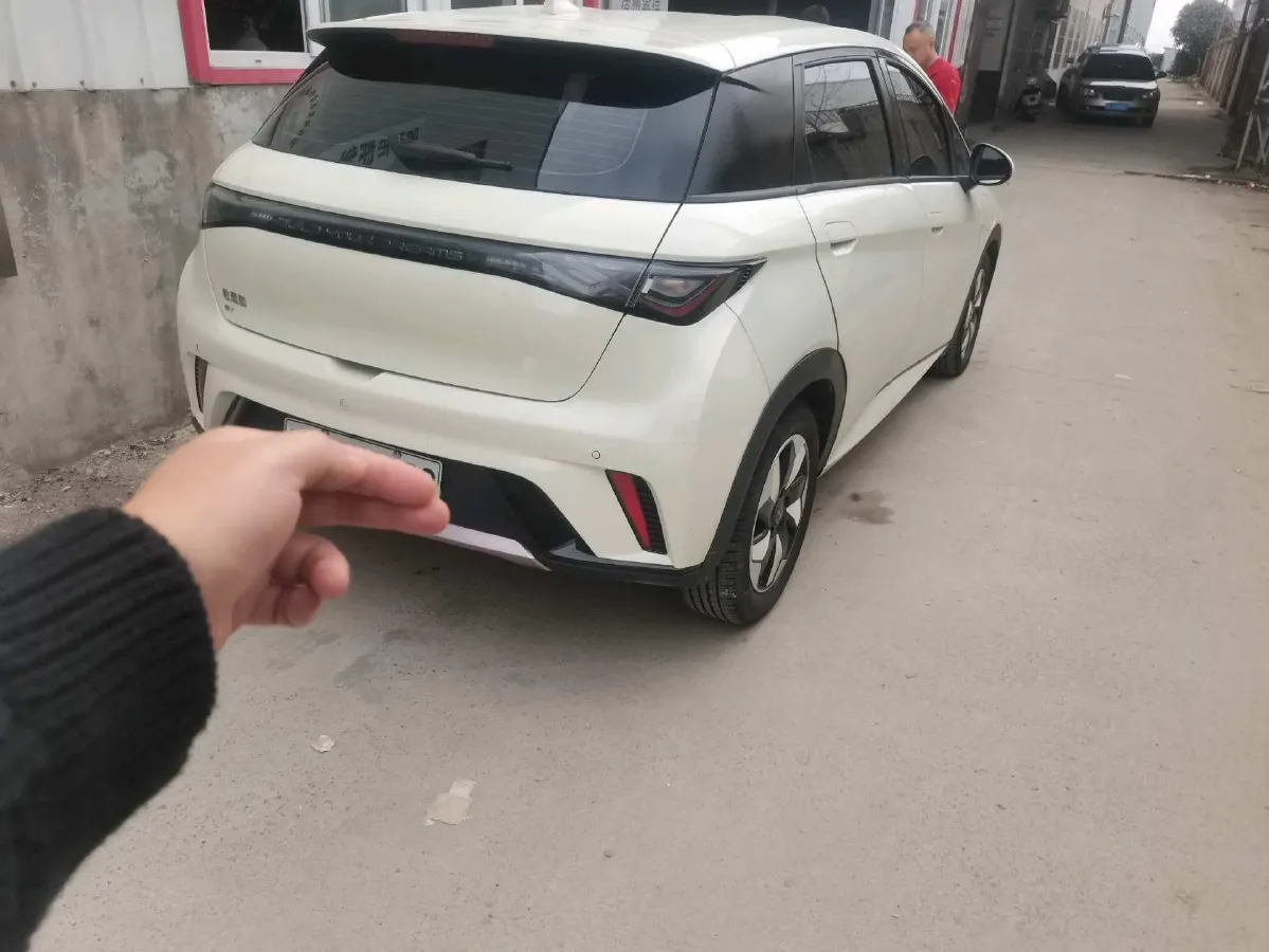 2024 BYD Dolphin BEV 44.928KWH,autocango,china used car exporter,china ev exporter,chinese used car exporter,chinese used ev exporter