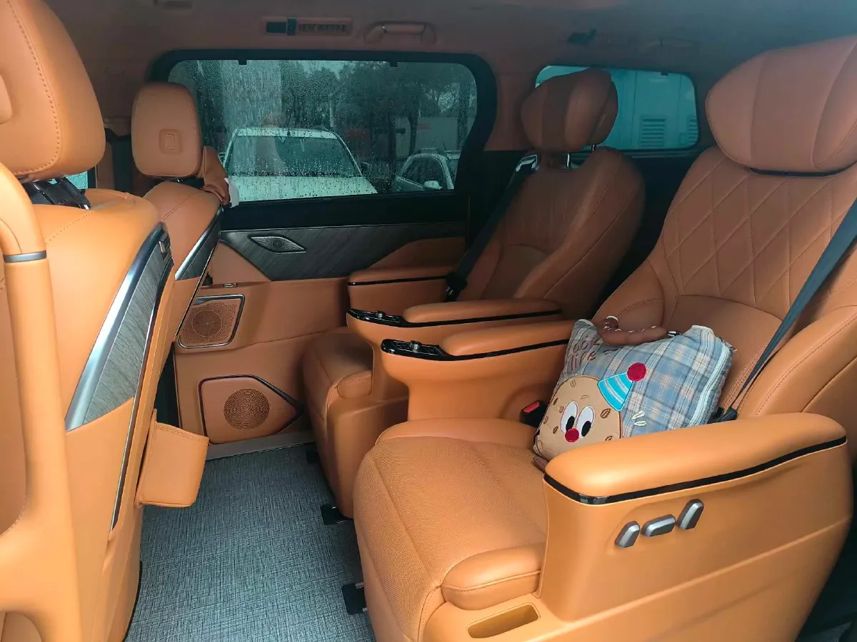 2025 WEY HighMountain 1.5T 170HP L4 4DHT PHEV,autocango,china used car exporter,china ev exporter,chinese used car exporter,chinese used ev exporter