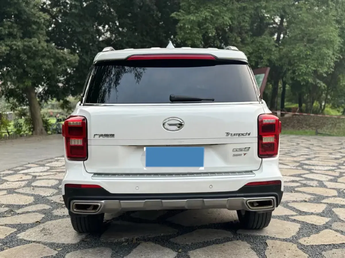2020 GAC Trumpchi GS8 2.0T 252HP L4 6AT,autocango,china used car exporter,china ev exporter,chinese used car exporter,chinese used ev exporter