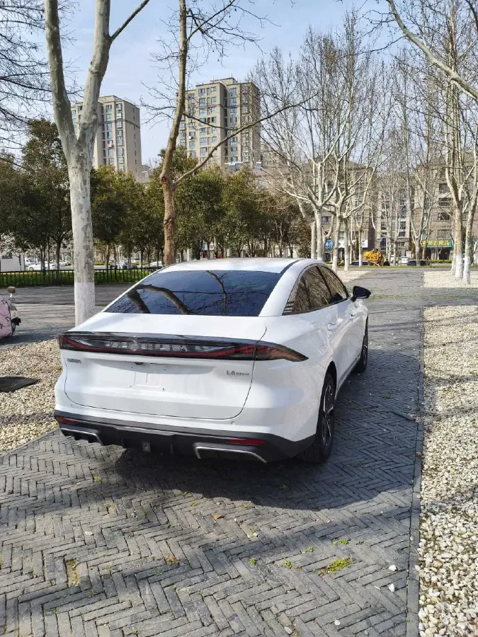 2025 BYD Seal 06 Wagon 1.5L 101HP L4 E-CVT PHEV,autocango,china used car exporter,china ev exporter,chinese used car exporter,chinese used ev exporter