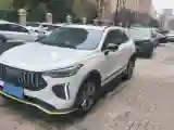 2022 Haval Rabbit 1.5T 150HP L4 7DCT