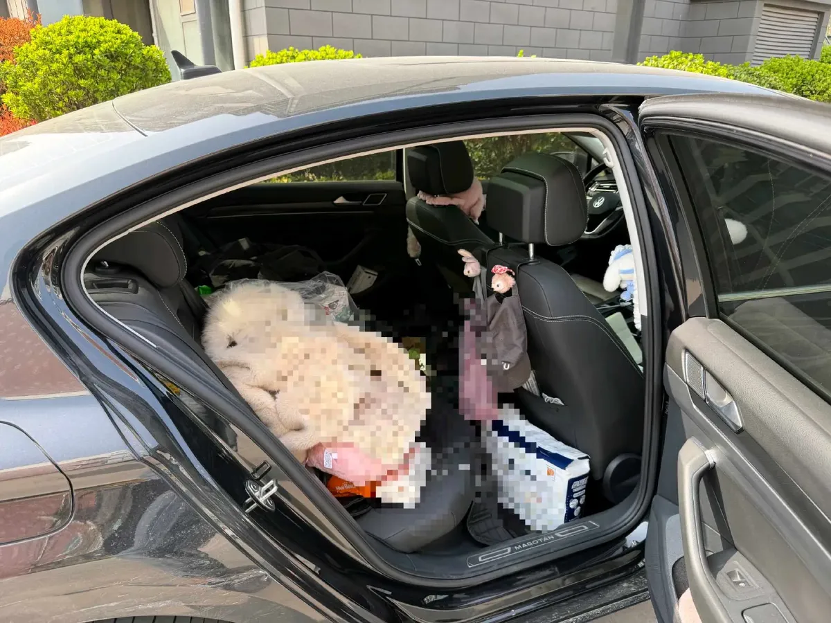 2020 Volkswagen Magotan 2.0T 186HP L4 7DCT,autocango,china used car exporter,china ev exporter,chinese used car exporter,chinese used ev exporter