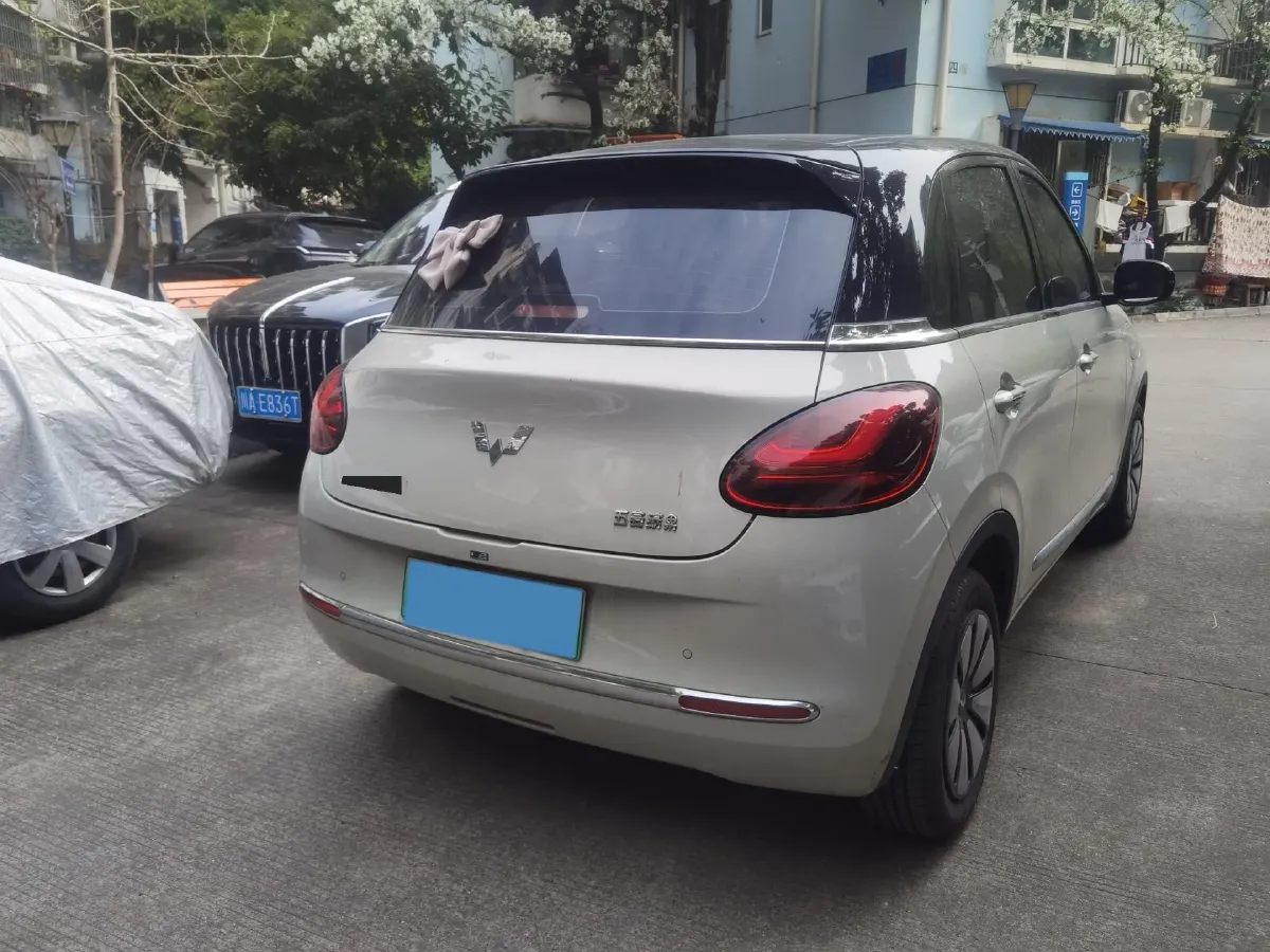 2023 WuLing BinGuo BEV 37.9KWH,autocango,china used car exporter,china ev exporter,chinese used car exporter,chinese used ev exporter