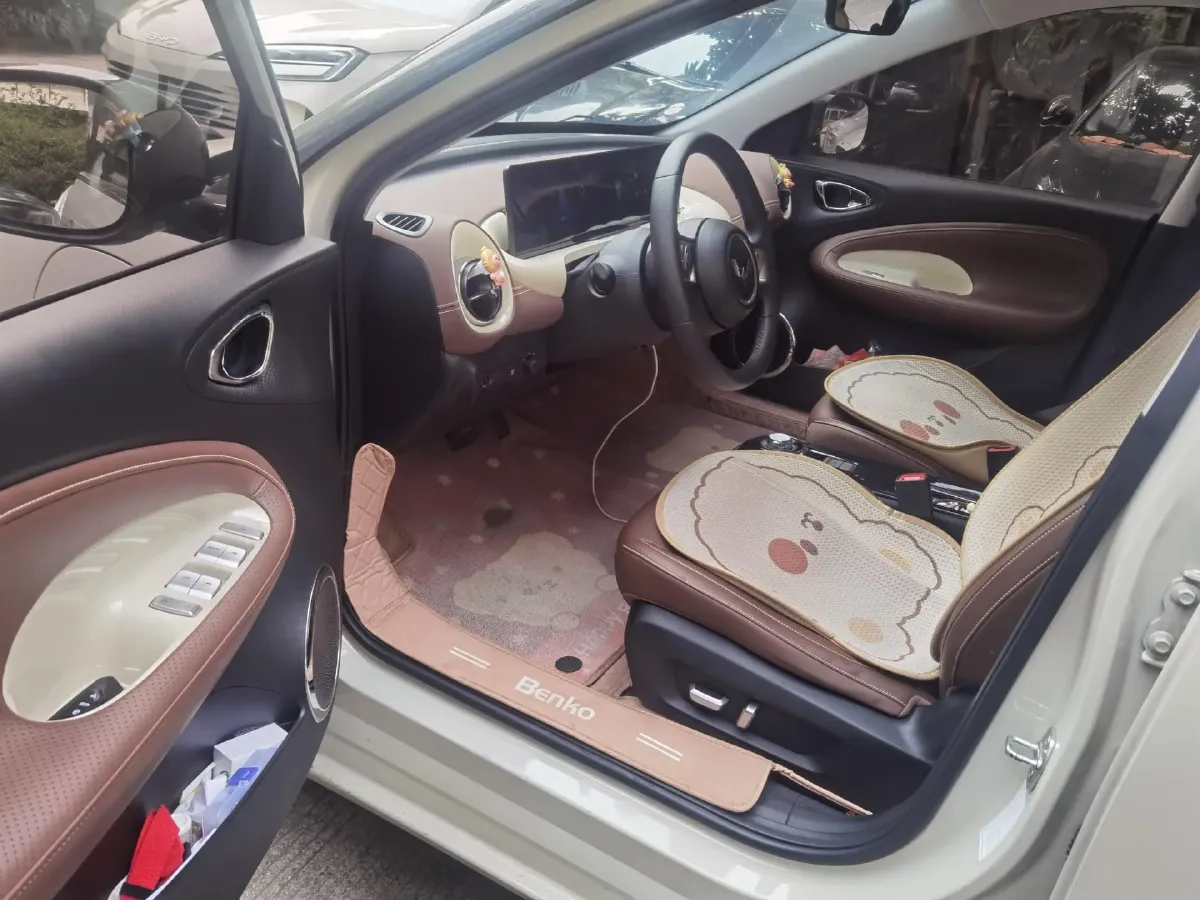 2023 WuLing BinGuo BEV 37.9KWH,autocango,china used car exporter,china ev exporter,chinese used car exporter,chinese used ev exporter