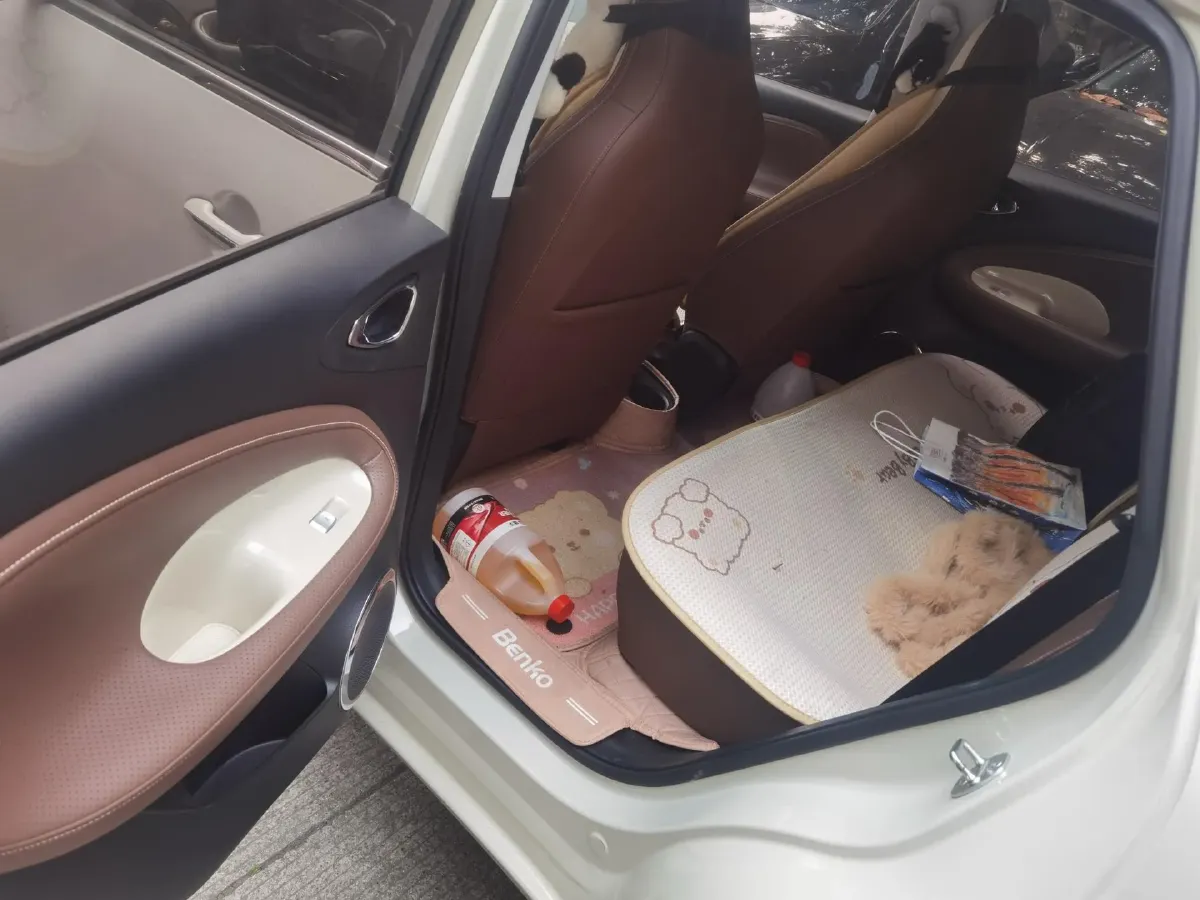 2023 WuLing BinGuo BEV 37.9KWH,autocango,china used car exporter,china ev exporter,chinese used car exporter,chinese used ev exporter