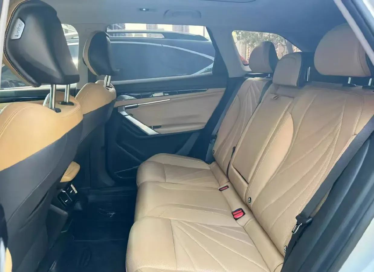 2023 Geely StarRay 2.0T 218HP L4 7DCT,autocango,china used car exporter,china ev exporter,chinese used car exporter,chinese used ev exporter