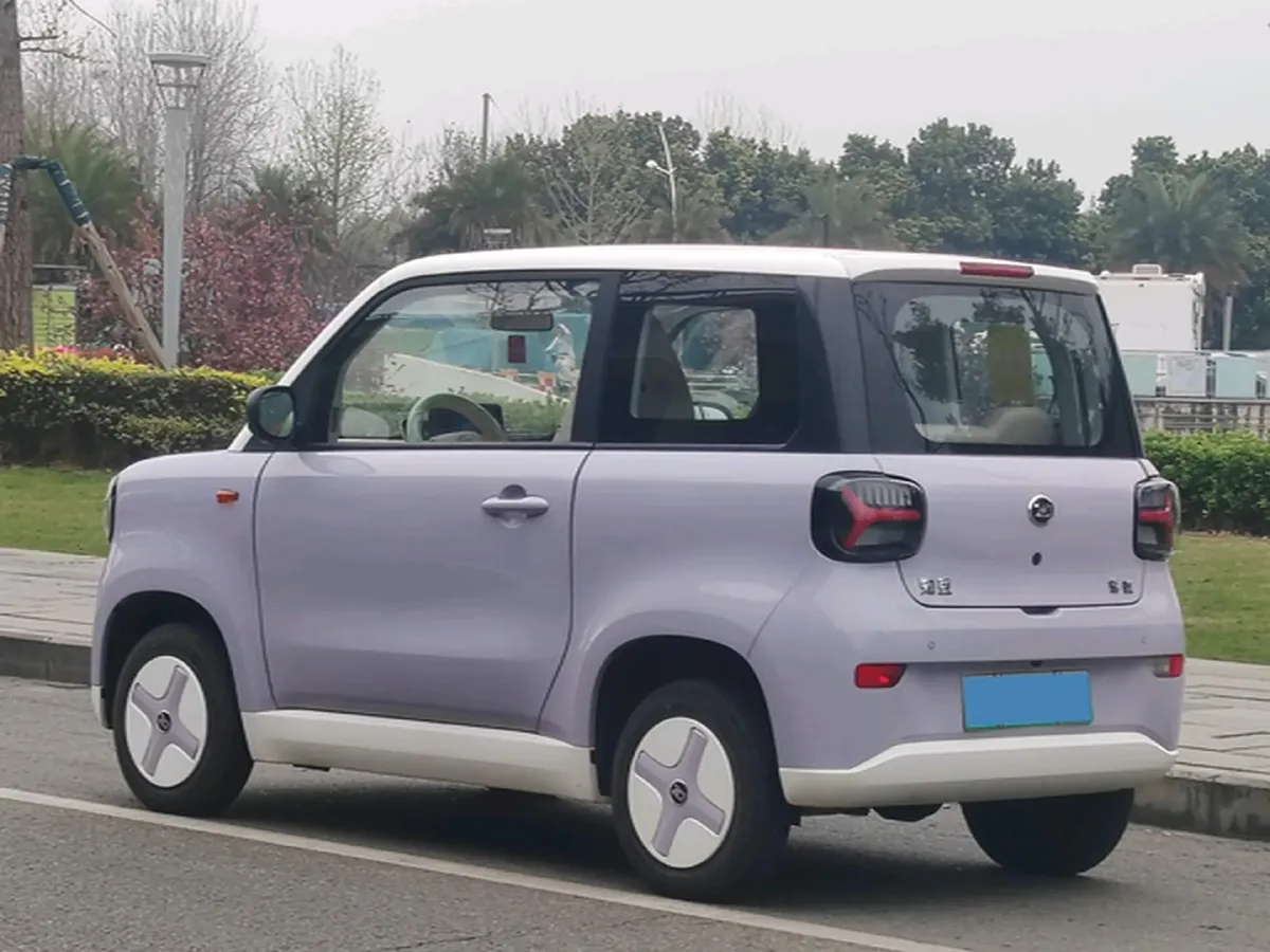 2024 ZD Rainbow BEV 17.3KWH,autocango,china used car exporter,china ev exporter,chinese used car exporter,chinese used ev exporter