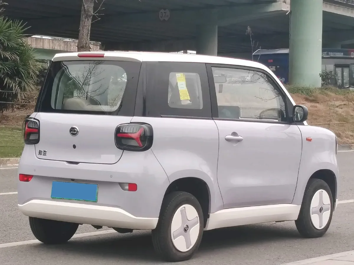 2024 ZD Rainbow BEV 17.3KWH,autocango,china used car exporter,china ev exporter,chinese used car exporter,chinese used ev exporter