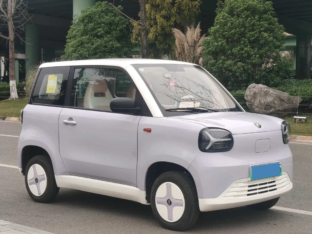 2024 ZD Rainbow BEV 17.3KWH,autocango,china used car exporter,china ev exporter,chinese used car exporter,chinese used ev exporter