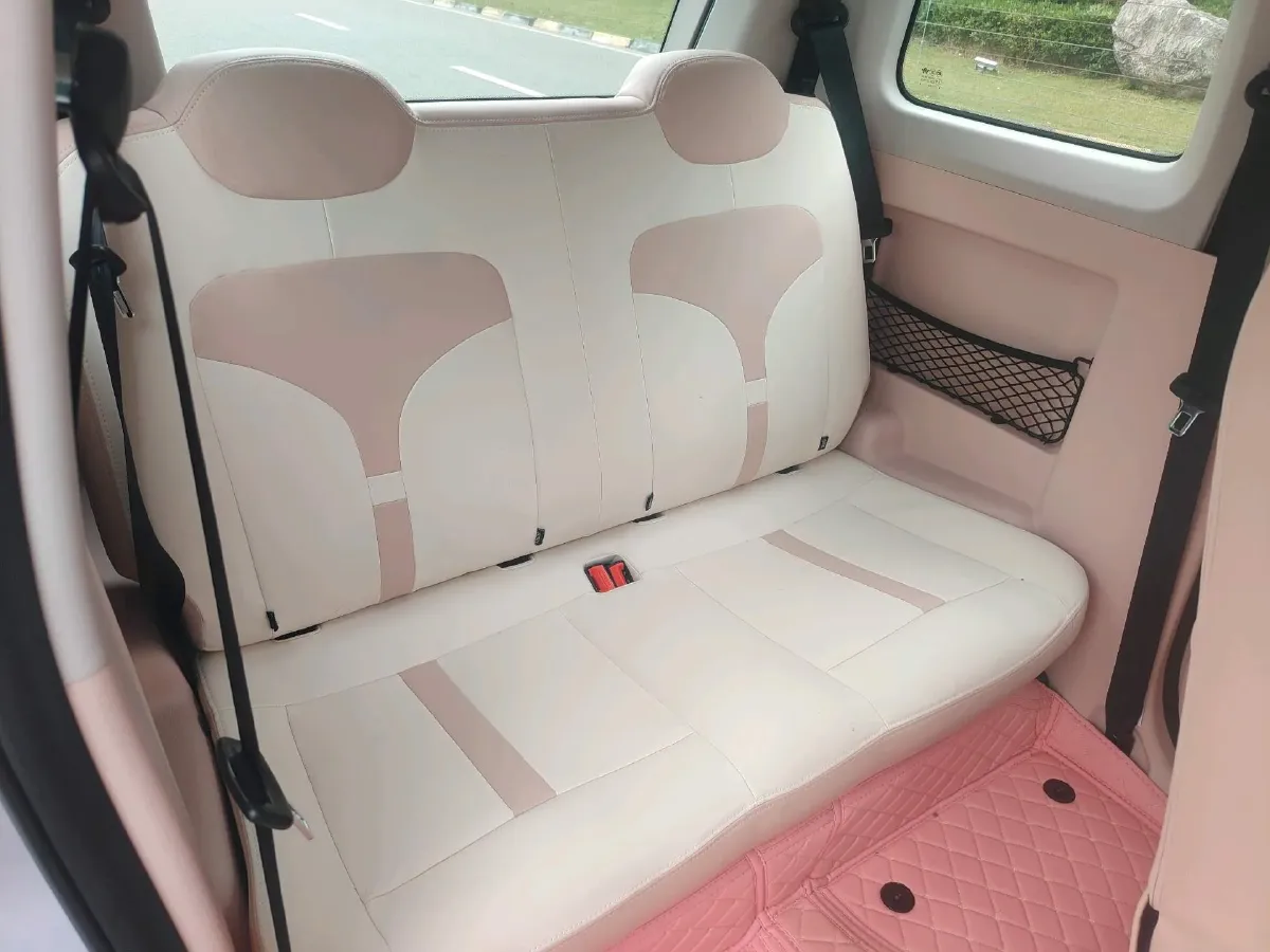 2024 ZD Rainbow BEV 17.3KWH,autocango,china used car exporter,china ev exporter,chinese used car exporter,chinese used ev exporter