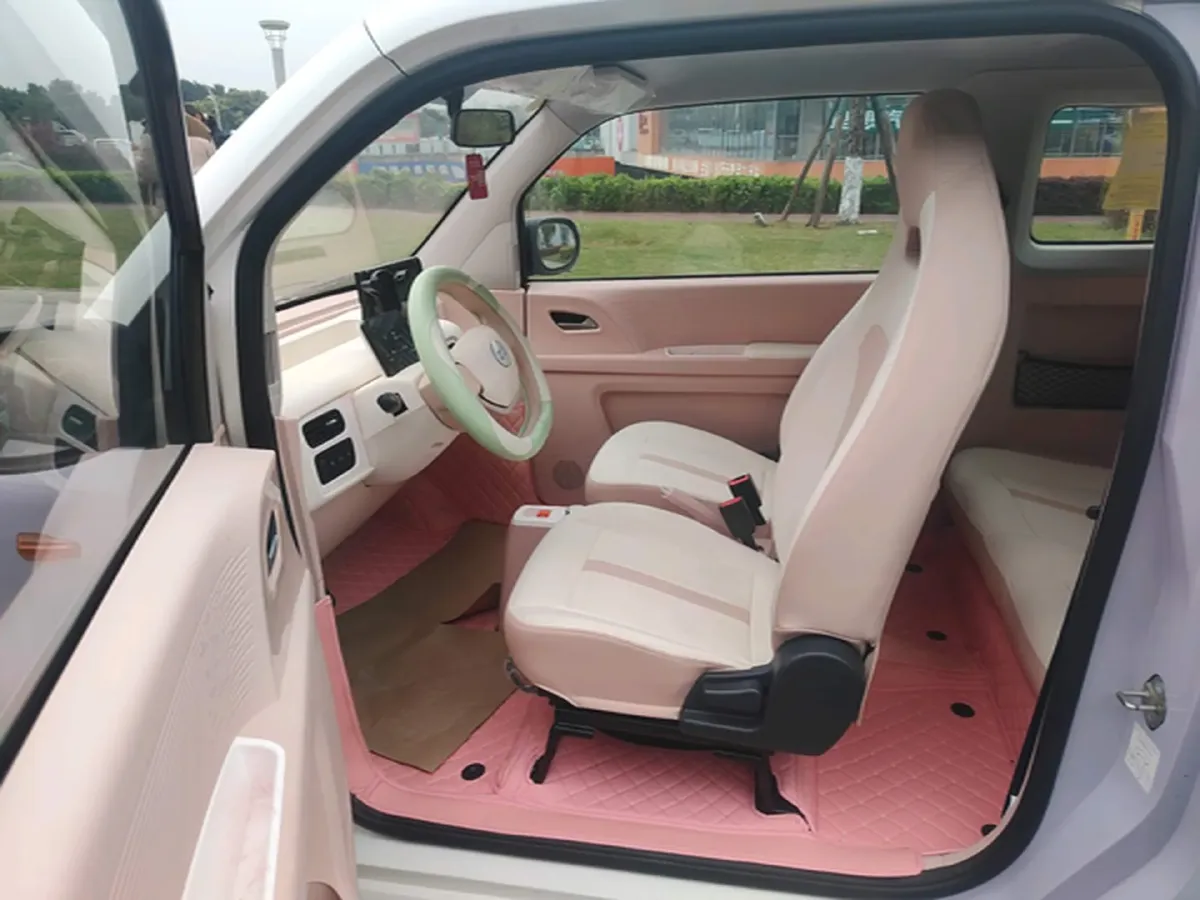 2024 ZD Rainbow BEV 17.3KWH,autocango,china used car exporter,china ev exporter,chinese used car exporter,chinese used ev exporter