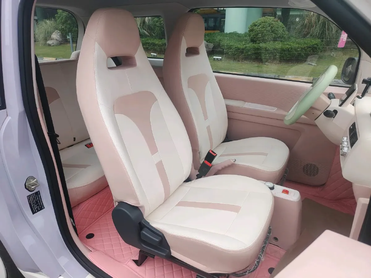 2024 ZD Rainbow BEV 17.3KWH,autocango,china used car exporter,china ev exporter,chinese used car exporter,chinese used ev exporter