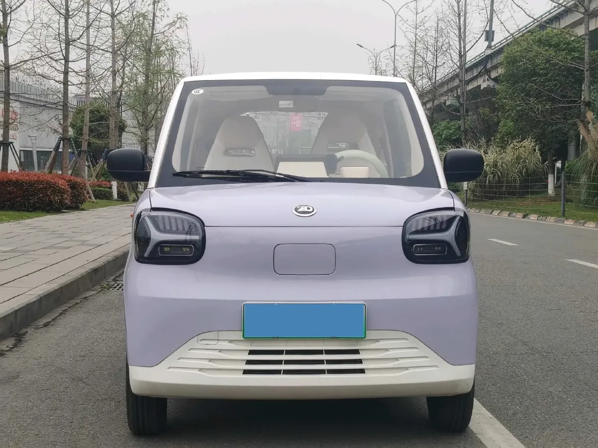 2024 ZD Rainbow BEV 17.3KWH,autocango,china used car exporter,china ev exporter,chinese used car exporter,chinese used ev exporter