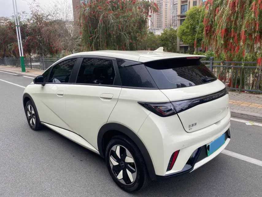 2025 BYD Dolphin BEV 44.928KWH,autocango,china used car exporter,china ev exporter,chinese used car exporter,chinese used ev exporter