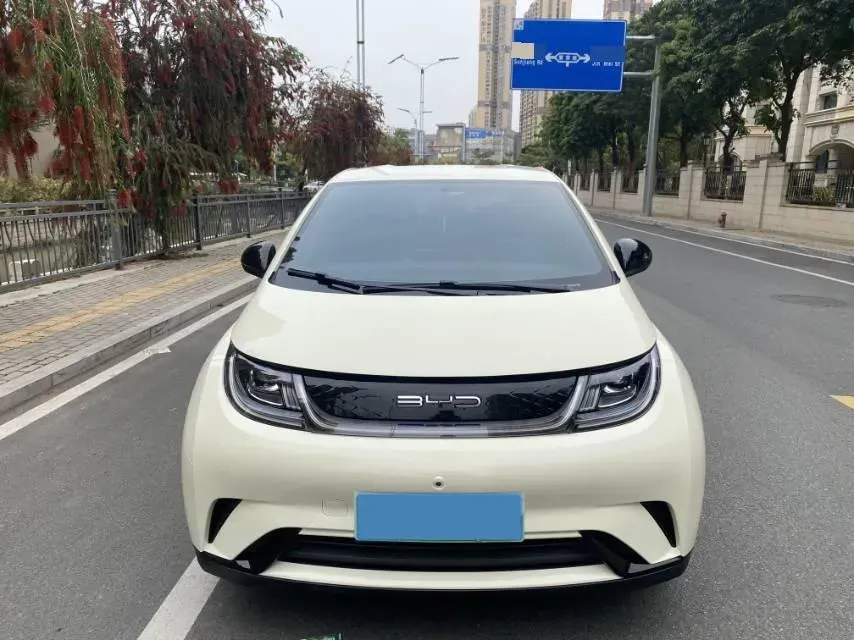 2025 BYD Dolphin BEV 44.928KWH,autocango,china used car exporter,china ev exporter,chinese used car exporter,chinese used ev exporter