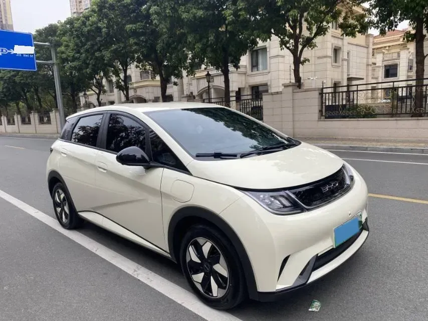 2025 BYD Dolphin BEV 44.928KWH,autocango,china used car exporter,china ev exporter,chinese used car exporter,chinese used ev exporter