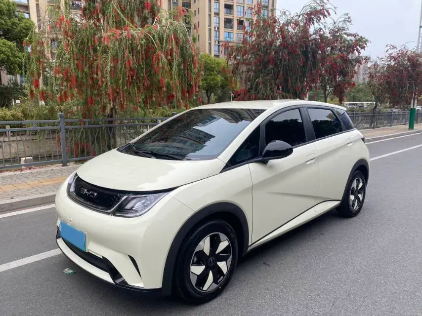 2025 BYD Dolphin BEV 44.928KWH,autocango,china used car exporter,china ev exporter,chinese used car exporter,chinese used ev exporter