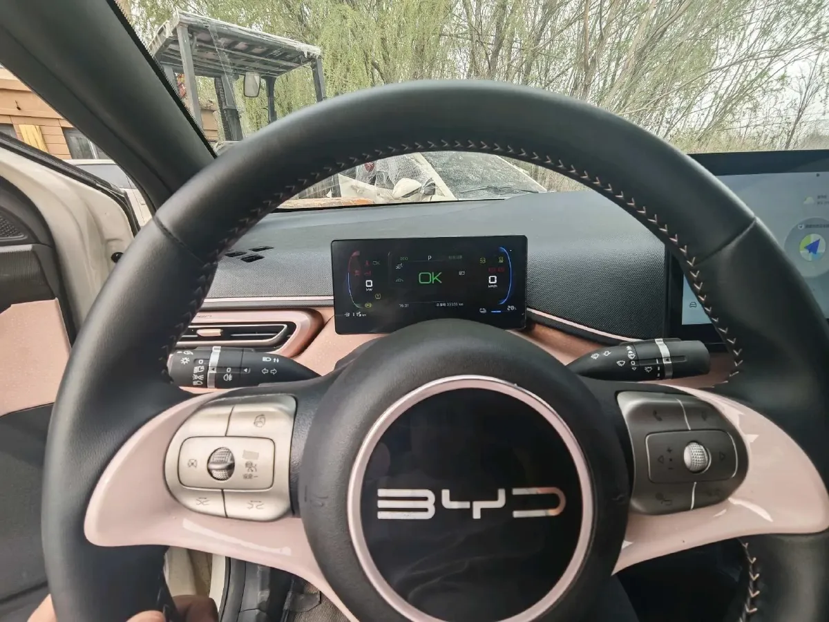 2023 BYD Seagull BEV 38.88KWH,autocango,china used car exporter,china ev exporter,chinese used car exporter,chinese used ev exporter