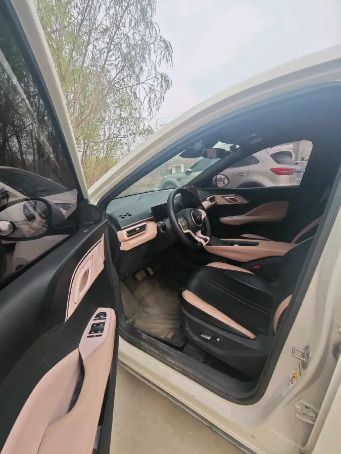 2023 BYD Seagull BEV 38.88KWH,autocango,china used car exporter,china ev exporter,chinese used car exporter,chinese used ev exporter