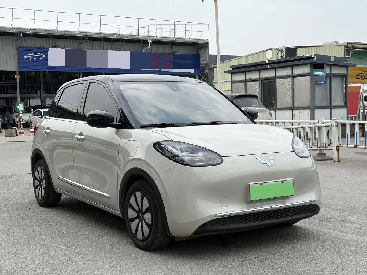 2023 WuLing BinGuo BEV 31.9KWH,autocango,china used car exporter,china ev exporter,chinese used car exporter,chinese used ev exporter