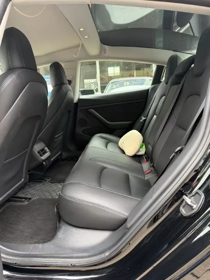 2022 Tesla Model 3 BEV 60KWH,autocango,china used car exporter,china ev exporter,chinese used car exporter,chinese used ev exporter