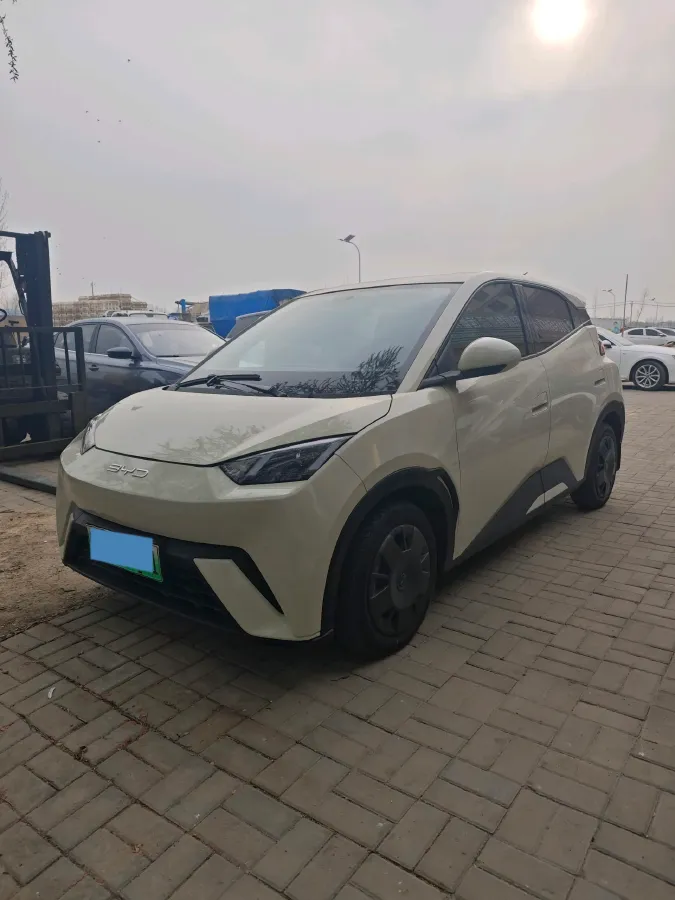 2025 BYD Seagull BEV 30.08KWH,autocango,china used car exporter,china ev exporter,chinese used car exporter,chinese used ev exporter