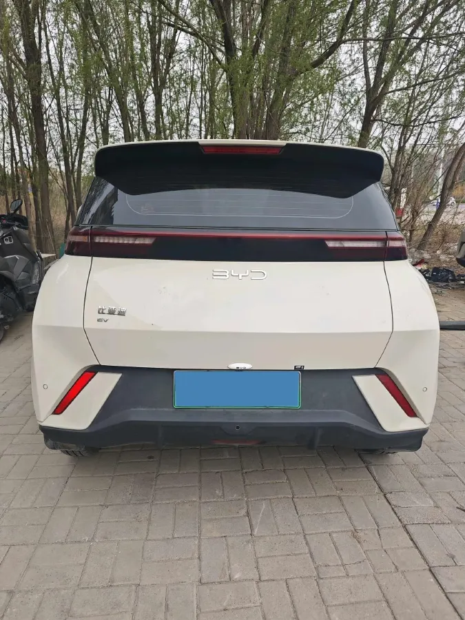 2025 BYD Seagull BEV 30.08KWH,autocango,china used car exporter,china ev exporter,chinese used car exporter,chinese used ev exporter