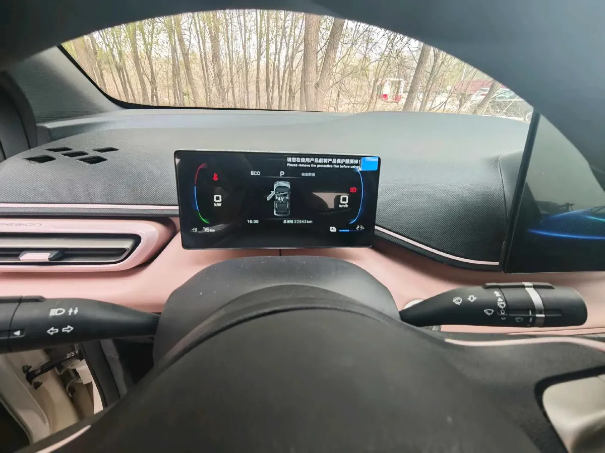 2025 BYD Seagull BEV 30.08KWH,autocango,china used car exporter,china ev exporter,chinese used car exporter,chinese used ev exporter