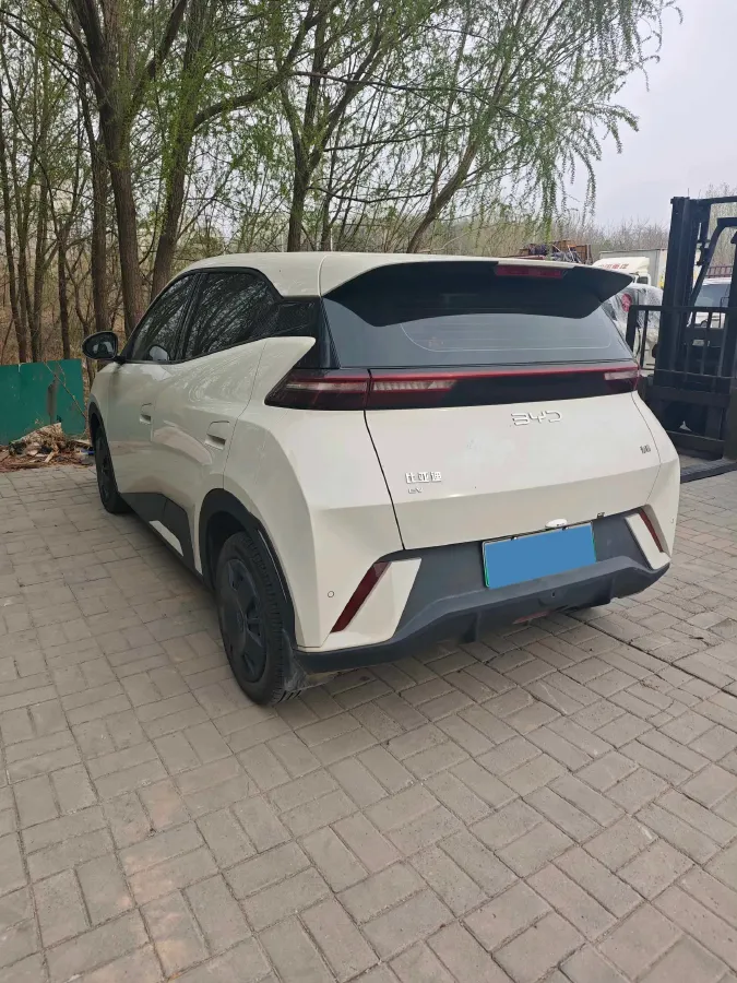 2025 BYD Seagull BEV 30.08KWH,autocango,china used car exporter,china ev exporter,chinese used car exporter,chinese used ev exporter