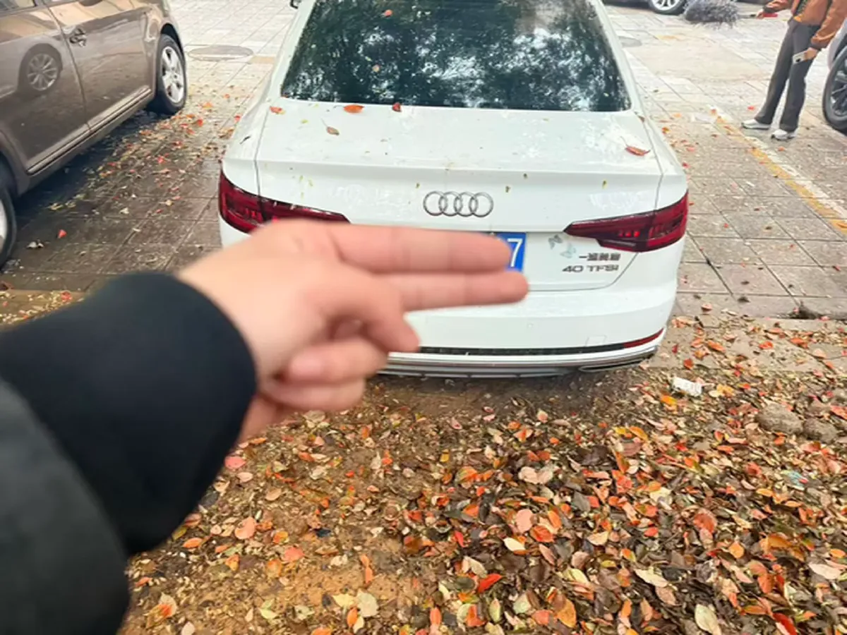 2019 Audi A4L 2.0T 190HP L4 7DCT,autocango,china used car exporter,china ev exporter,chinese used car exporter,chinese used ev exporter