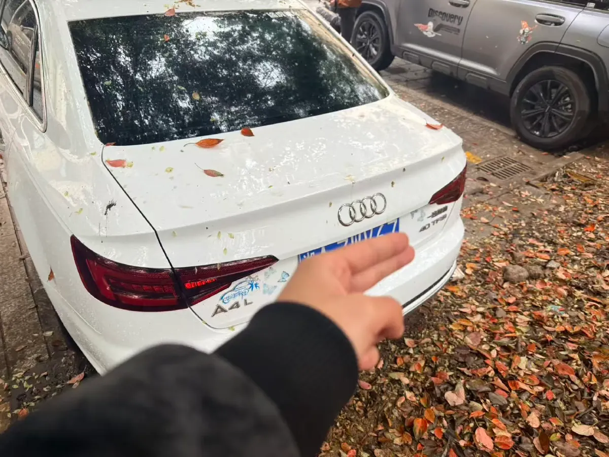 2019 Audi A4L 2.0T 190HP L4 7DCT,autocango,china used car exporter,china ev exporter,chinese used car exporter,chinese used ev exporter