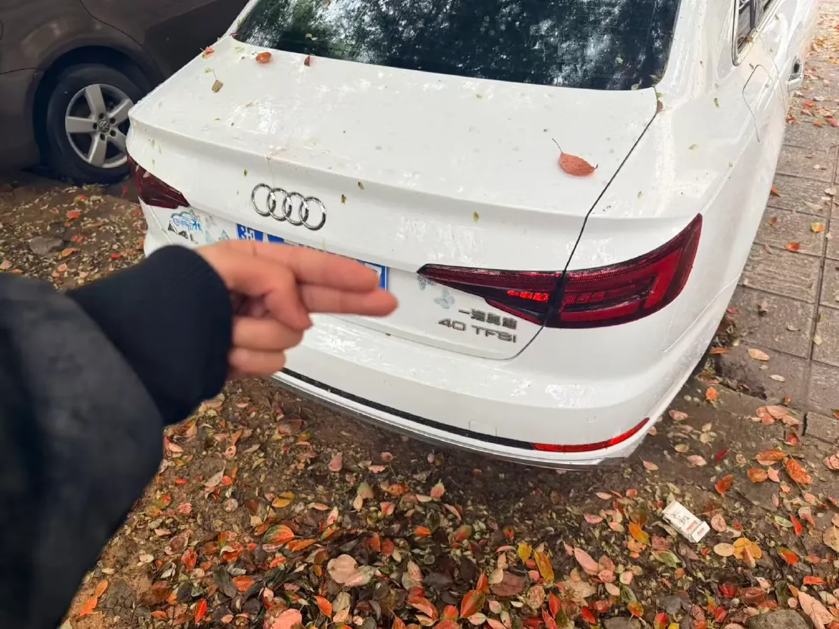 2019 Audi A4L 2.0T 190HP L4 7DCT,autocango,china used car exporter,china ev exporter,chinese used car exporter,chinese used ev exporter