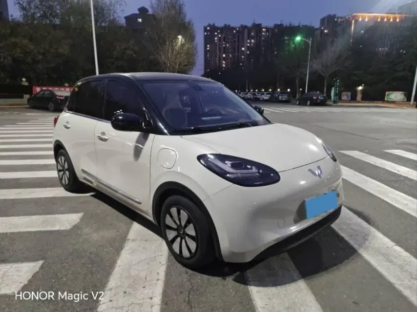 2023 WuLing BinGuo BEV 31.9KWH,autocango,china used car exporter,china ev exporter,chinese used car exporter,chinese used ev exporter