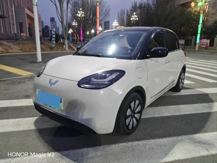 2023 WuLing BinGuo BEV 31.9KWH,autocango,china used car exporter,china ev exporter,chinese used car exporter,chinese used ev exporter