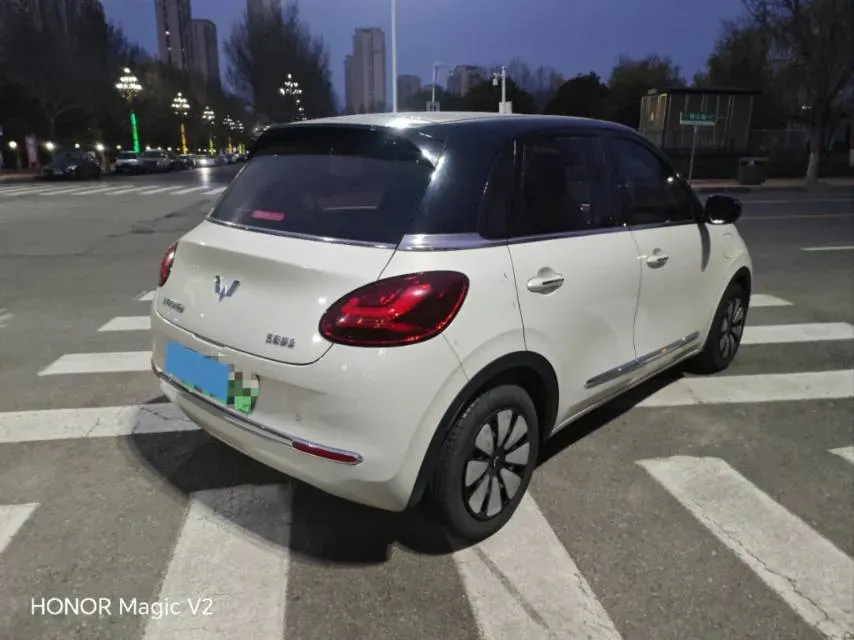 2023 WuLing BinGuo BEV 31.9KWH,autocango,china used car exporter,china ev exporter,chinese used car exporter,chinese used ev exporter