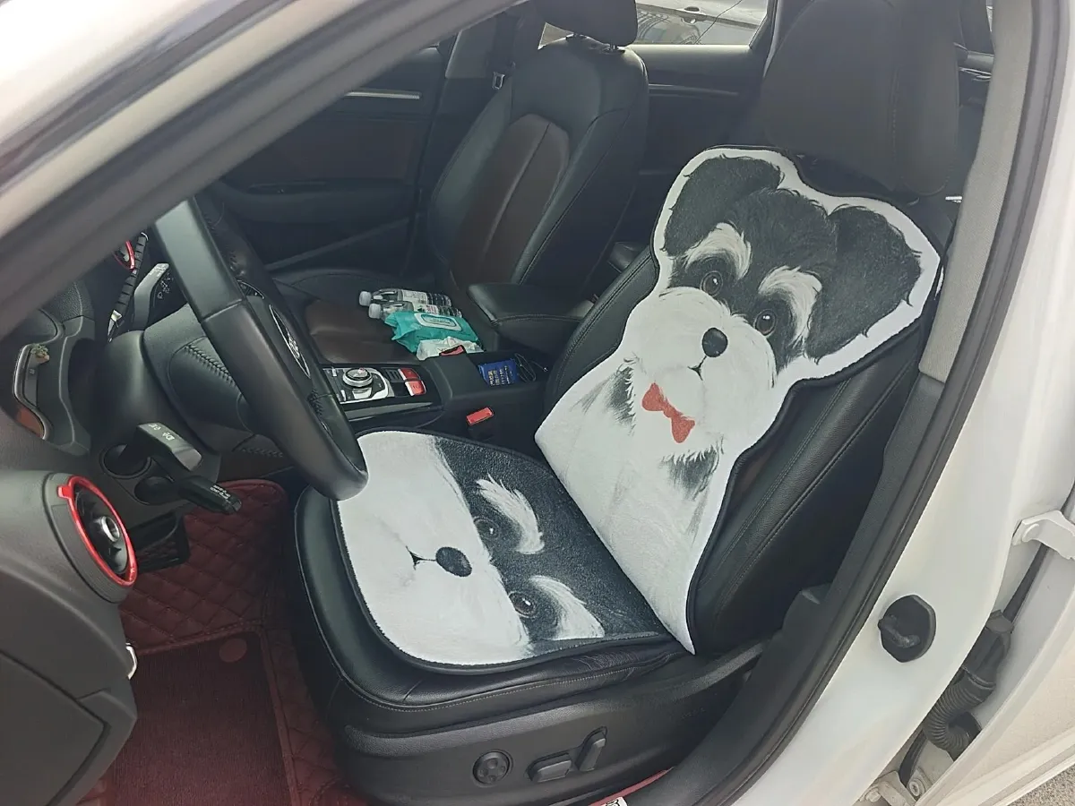 2020 Audi A3 1.4T 150HP L4 7DCT,autocango,china used car exporter,china ev exporter,chinese used car exporter,chinese used ev exporter