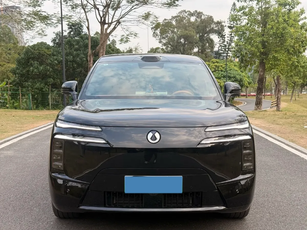 2025 Denza DenzaN8L 2.0T 207HP L4 E-CVT PHEV,autocango,china used car exporter,china ev exporter,chinese used car exporter,chinese used ev exporter