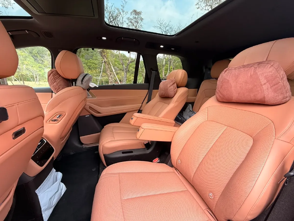 2025 Denza DenzaN8L 2.0T 207HP L4 E-CVT PHEV,autocango,china used car exporter,china ev exporter,chinese used car exporter,chinese used ev exporter