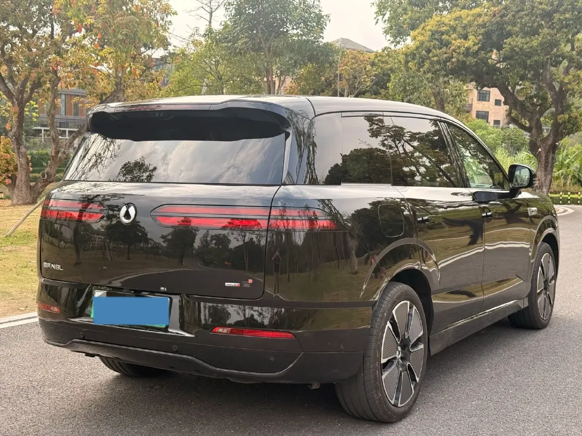 2025 Denza DenzaN8L 2.0T 207HP L4 E-CVT PHEV,autocango,china used car exporter,china ev exporter,chinese used car exporter,chinese used ev exporter