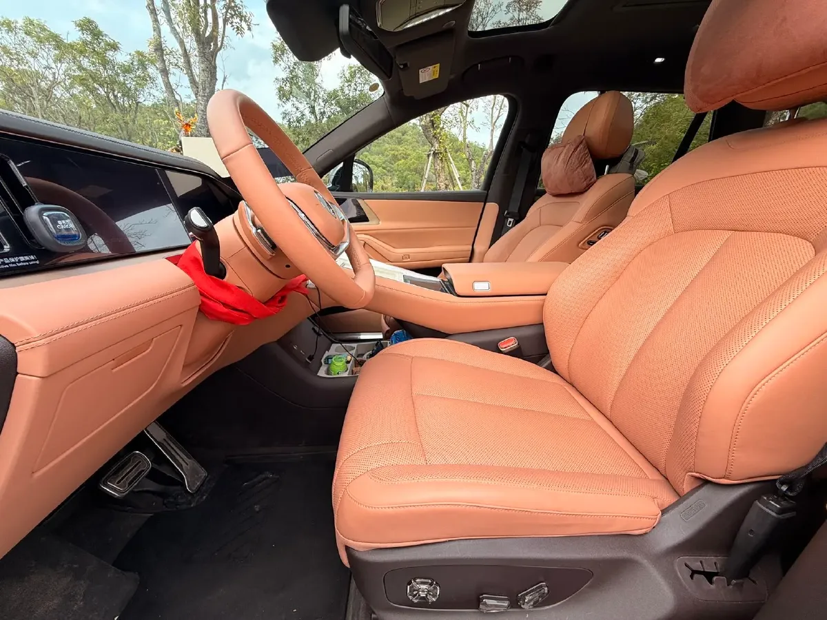 2025 Denza DenzaN8L 2.0T 207HP L4 E-CVT PHEV,autocango,china used car exporter,china ev exporter,chinese used car exporter,chinese used ev exporter