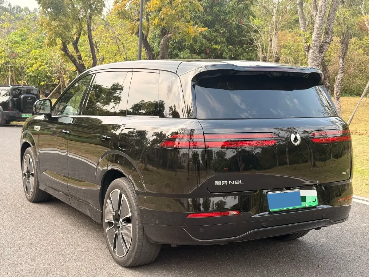 2025 Denza DenzaN8L 2.0T 207HP L4 E-CVT PHEV,autocango,china used car exporter,china ev exporter,chinese used car exporter,chinese used ev exporter