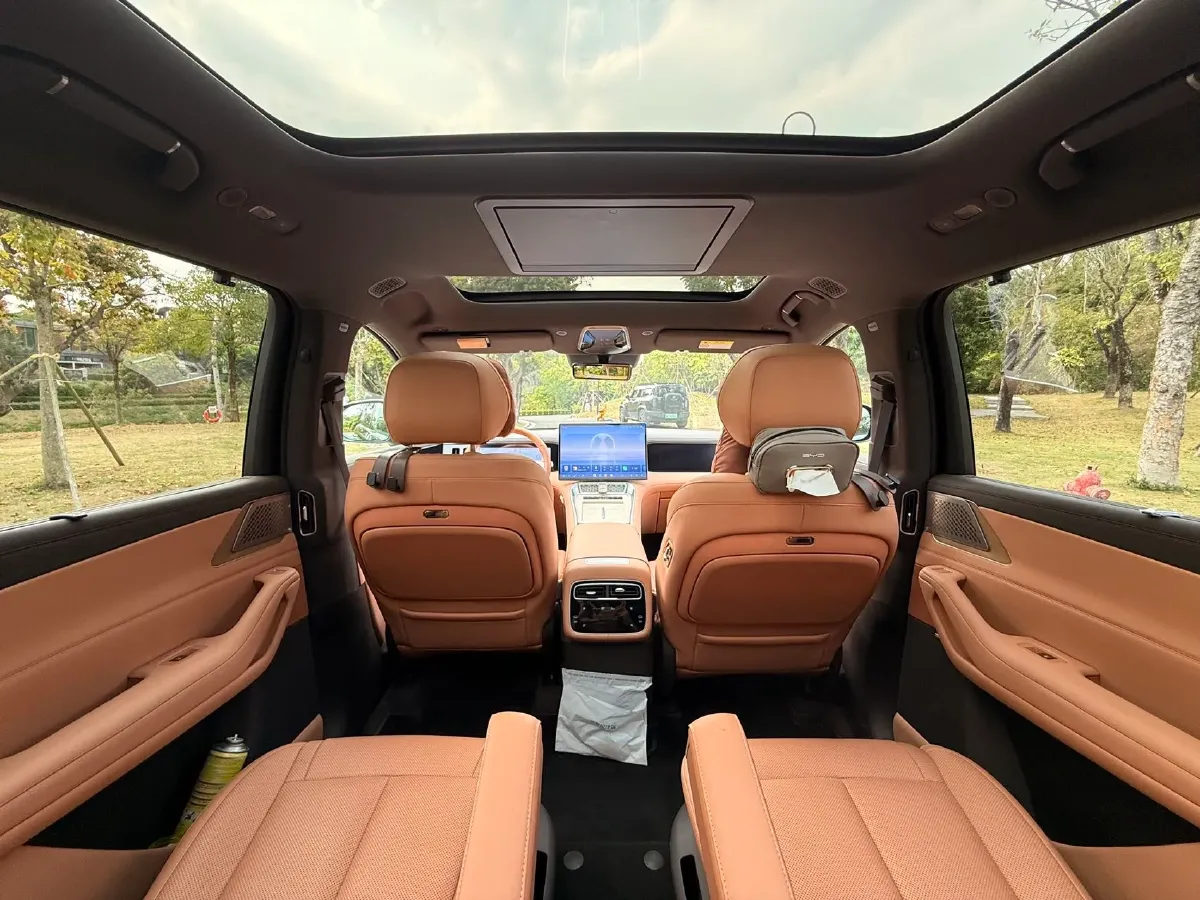 2025 Denza DenzaN8L 2.0T 207HP L4 E-CVT PHEV,autocango,china used car exporter,china ev exporter,chinese used car exporter,chinese used ev exporter