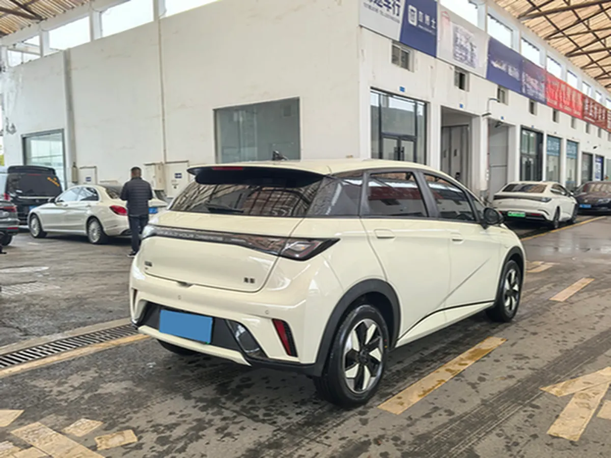2025 BYD Dolphin BEV 45.12KWH,autocango,china used car exporter,china ev exporter,chinese used car exporter,chinese used ev exporter