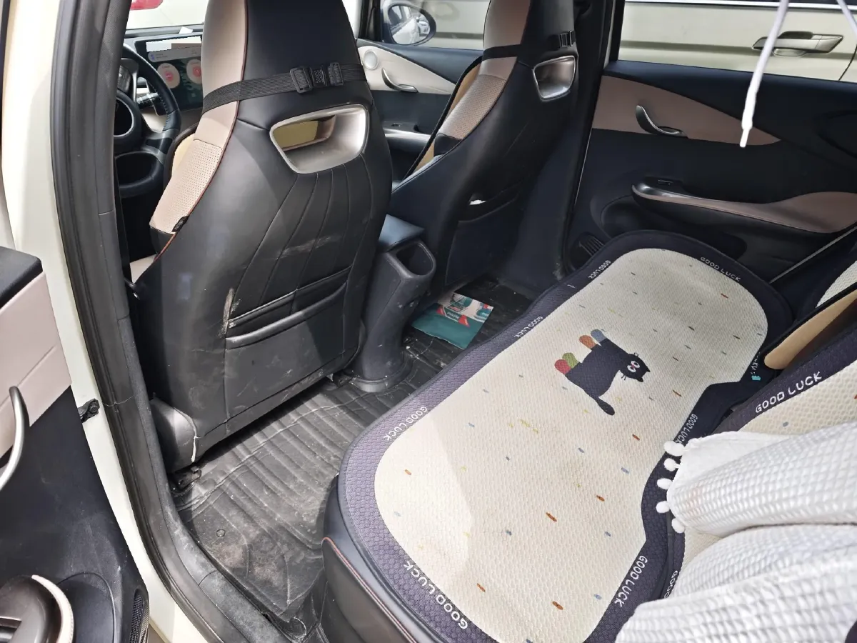 2023 BYD Dolphin BEV 44.928KWH,autocango,china used car exporter,china ev exporter,chinese used car exporter,chinese used ev exporter