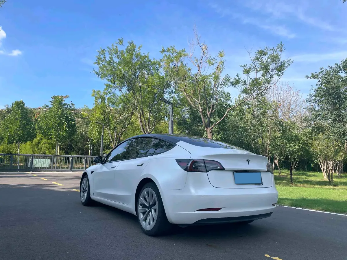 2021 Tesla Model 3 BEV 55KWH,autocango,china used car exporter,china ev exporter,chinese used car exporter,chinese used ev exporter