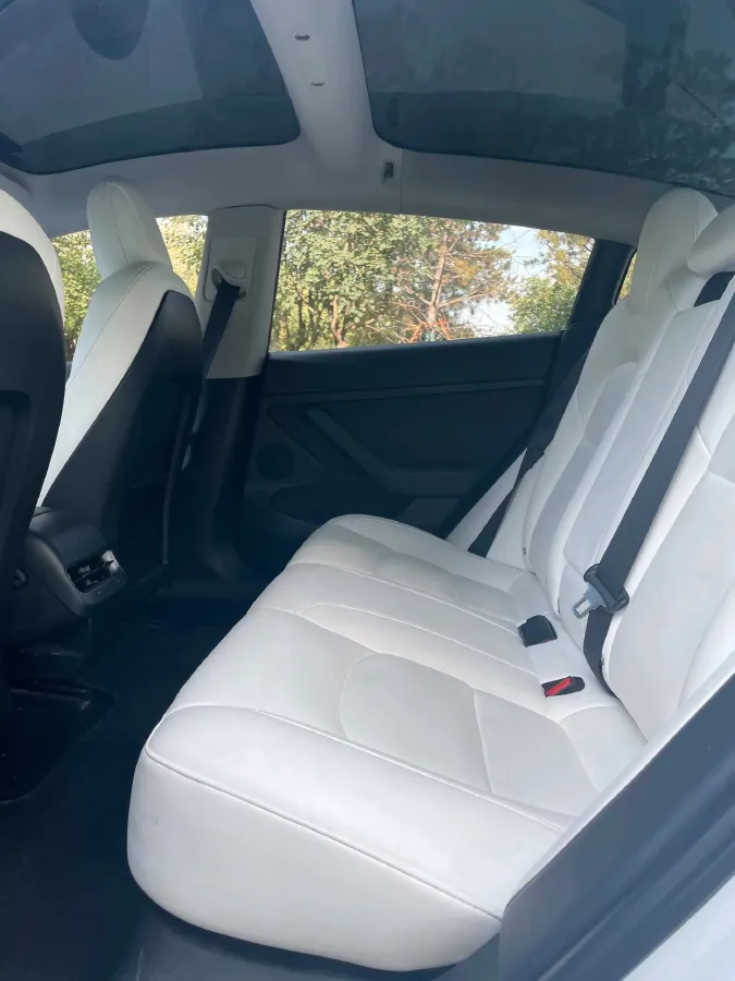 2021 Tesla Model 3 BEV 55KWH,autocango,china used car exporter,china ev exporter,chinese used car exporter,chinese used ev exporter