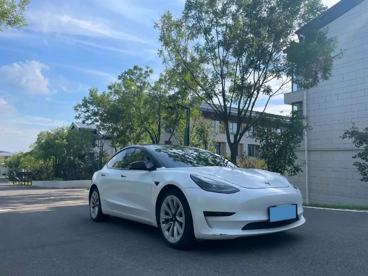 2021 Tesla Model 3 BEV 55KWH,autocango,china used car exporter,china ev exporter,chinese used car exporter,chinese used ev exporter